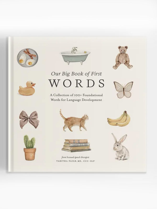 Our Big Book of First Words Baby-Kids : Toys : Books Paige Tate & Co. Our Big Book of First Words for Baby | Colored Organics®