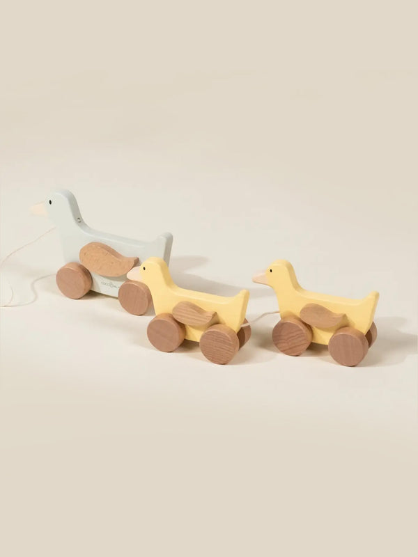 Wooden Duck Family Pull Toy Kids : Toys : Push + Pull Coco Village Wooden Duck Family Pull Toy for Baby | Colored Organics®