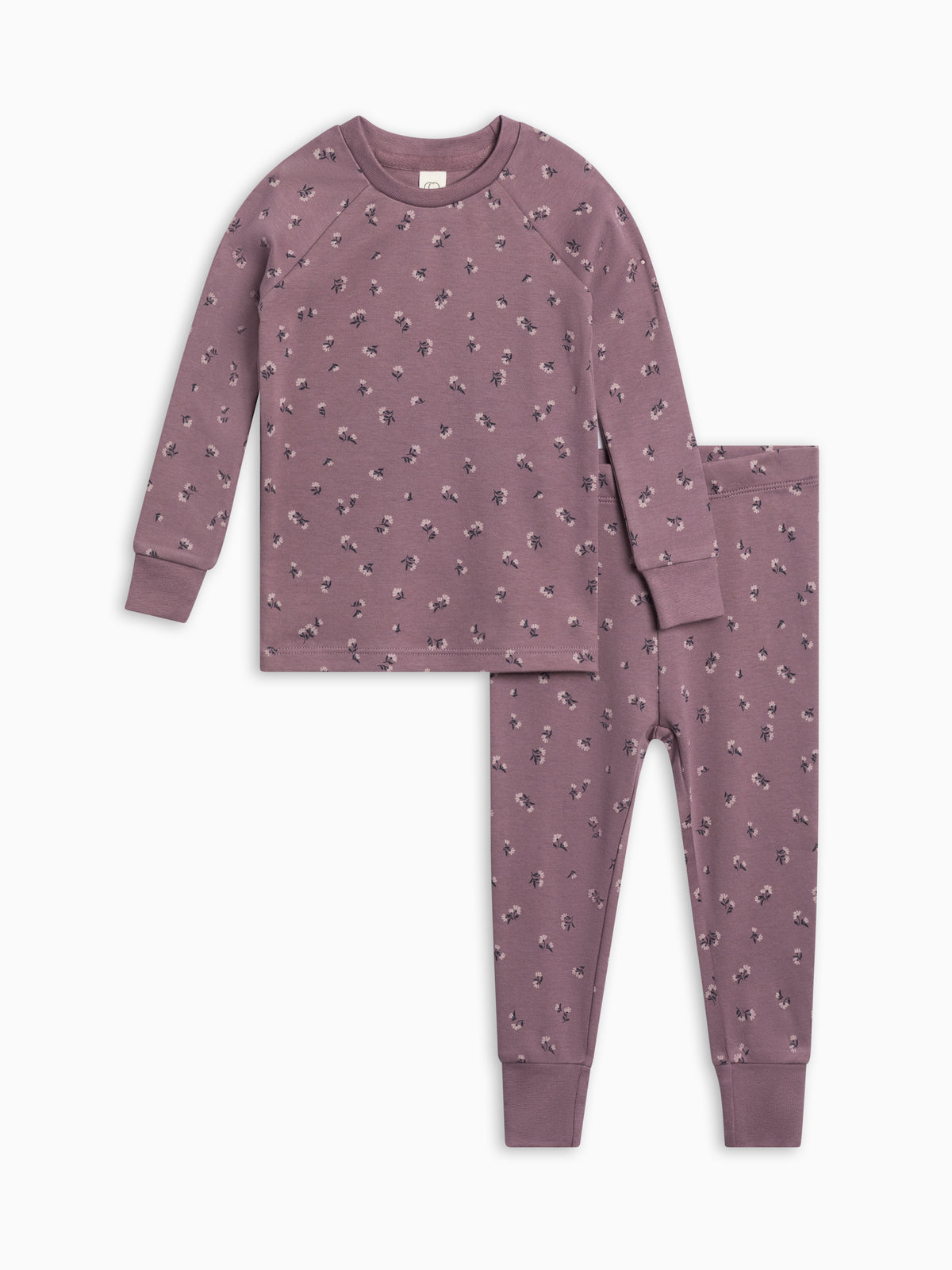2 Piece Long Sleeve Jammie Set Sale : Baby : Kids : Jammies : Long Sleeves Colored Organics 2 Piece Long Sleeve Jammie Set for Baby | Colored Organics®