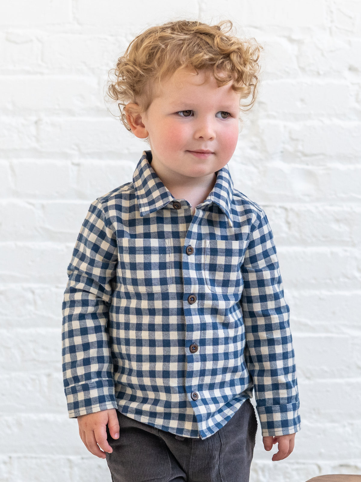 Hugo Flannel Long Sleeve Collared Button Down Shirt - Swindon Plaid