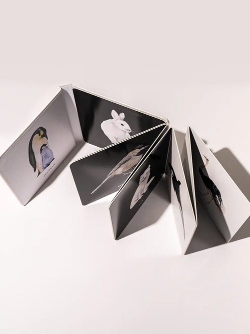 Baby's Black and White Contrast Book Baby-Kids : Toys : Books Paige Tate & Co. Black and White Baby Contrast Book | Colored Organics®