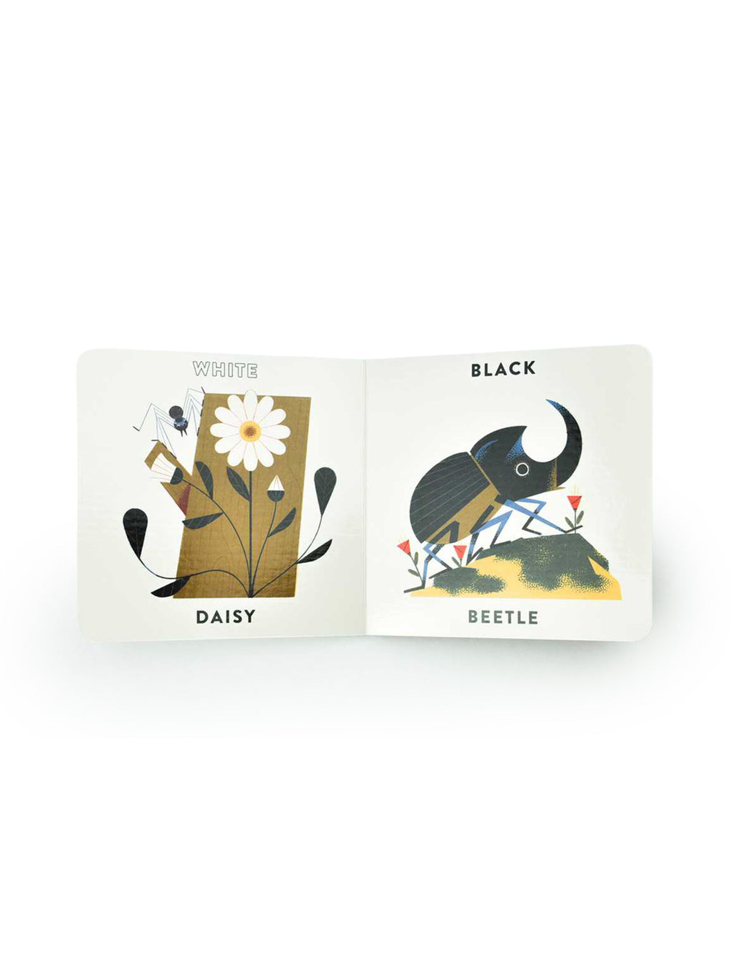 Colors in the Garden Book Baby-Kids : Toys : Books Simon & Schuster Colors in the Garden Book for Baby | Colored Organics®