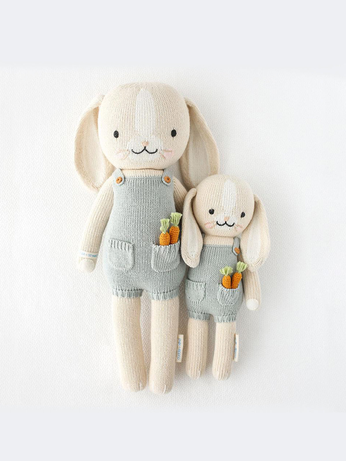 Henry the Bunny Baby : Toys : Plush + Crinkle cuddle+kind Henry the Bunny for Babies and Kids | Colored Organics®