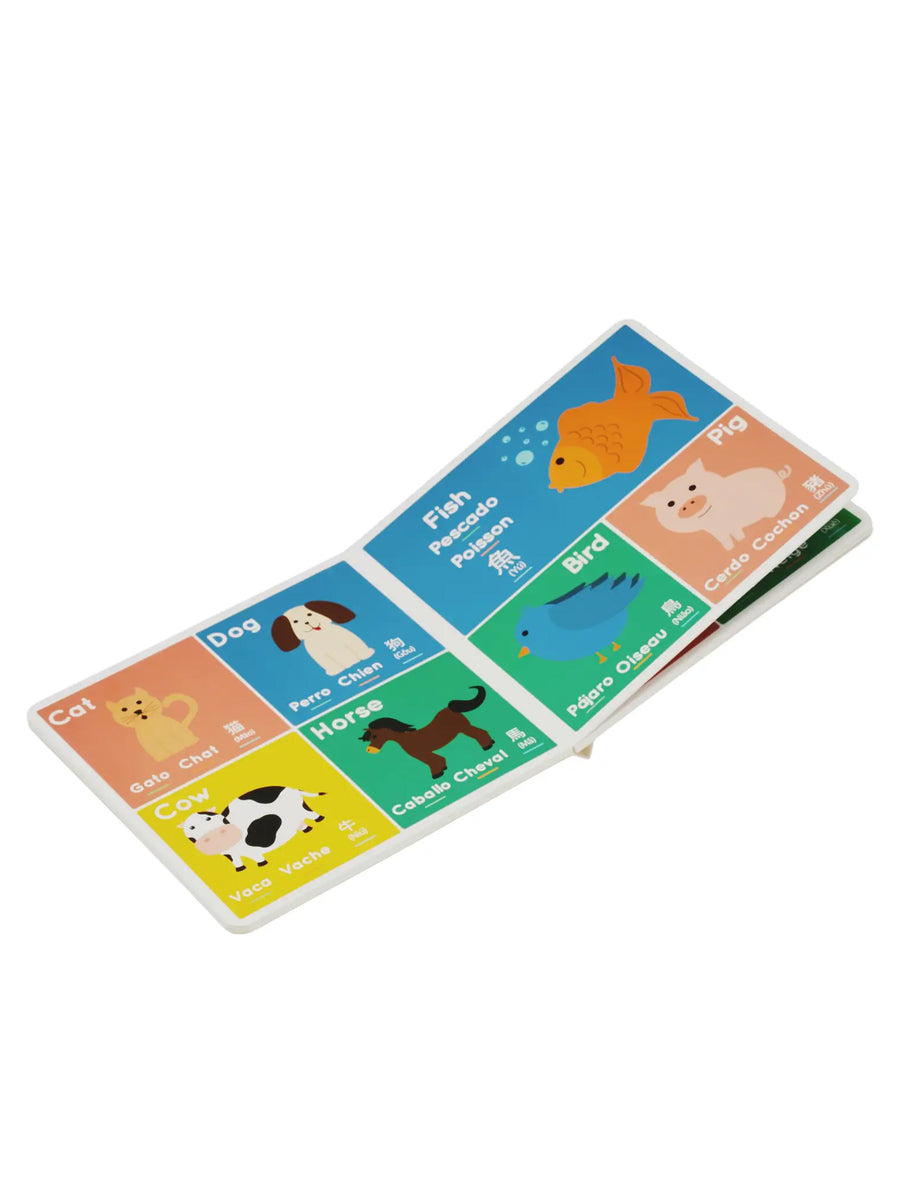 Little Lingo Book Sale : Baby-Kids : Toys : Books Kids For Culture Little Lingo Book for Babies and Kids | Colored Organics®