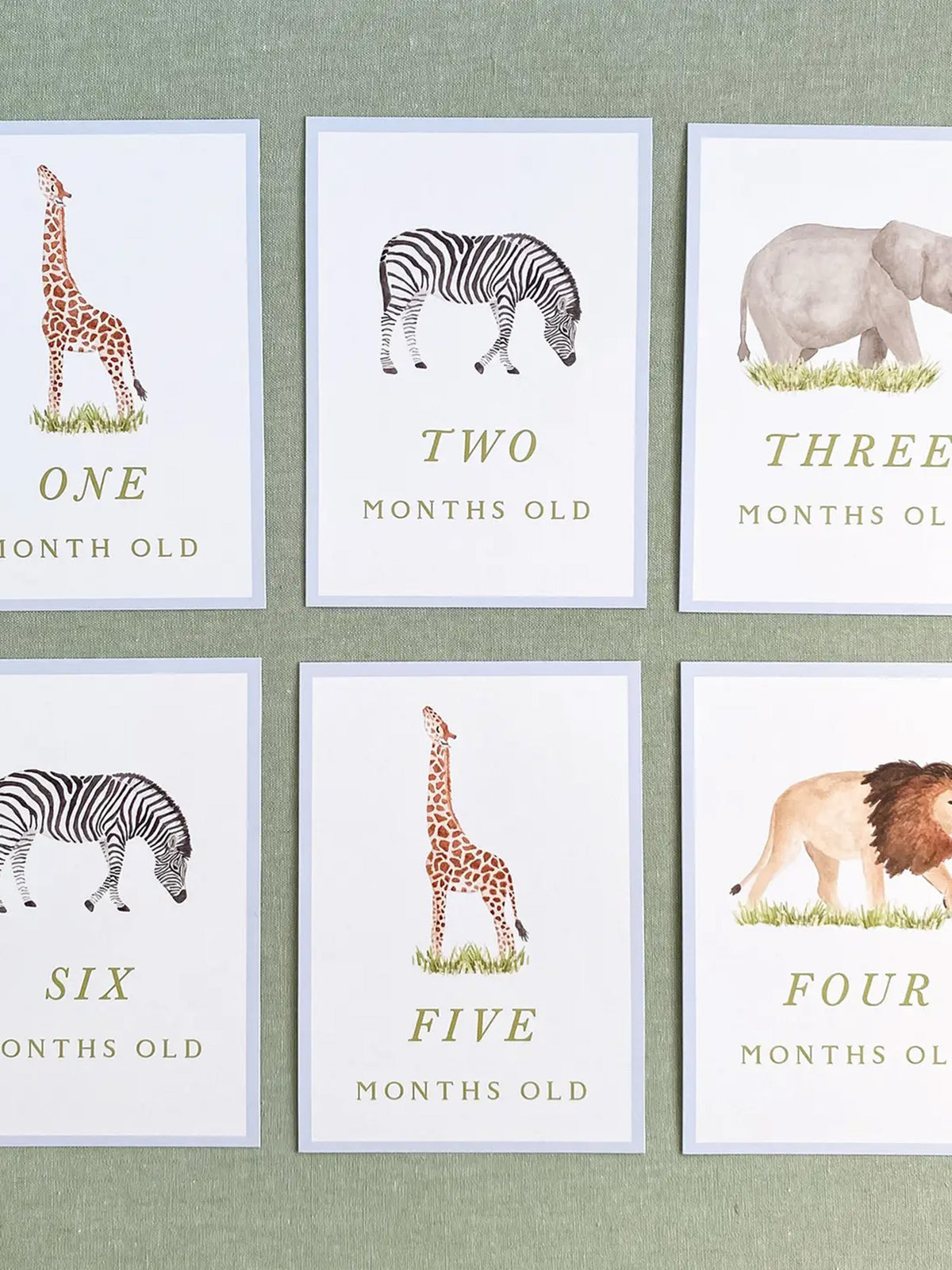 Milestone Cards Baby : Parent : Nursery : Decor Gloster Road Milestone Cards for Babies and Kids | Colored Organics®