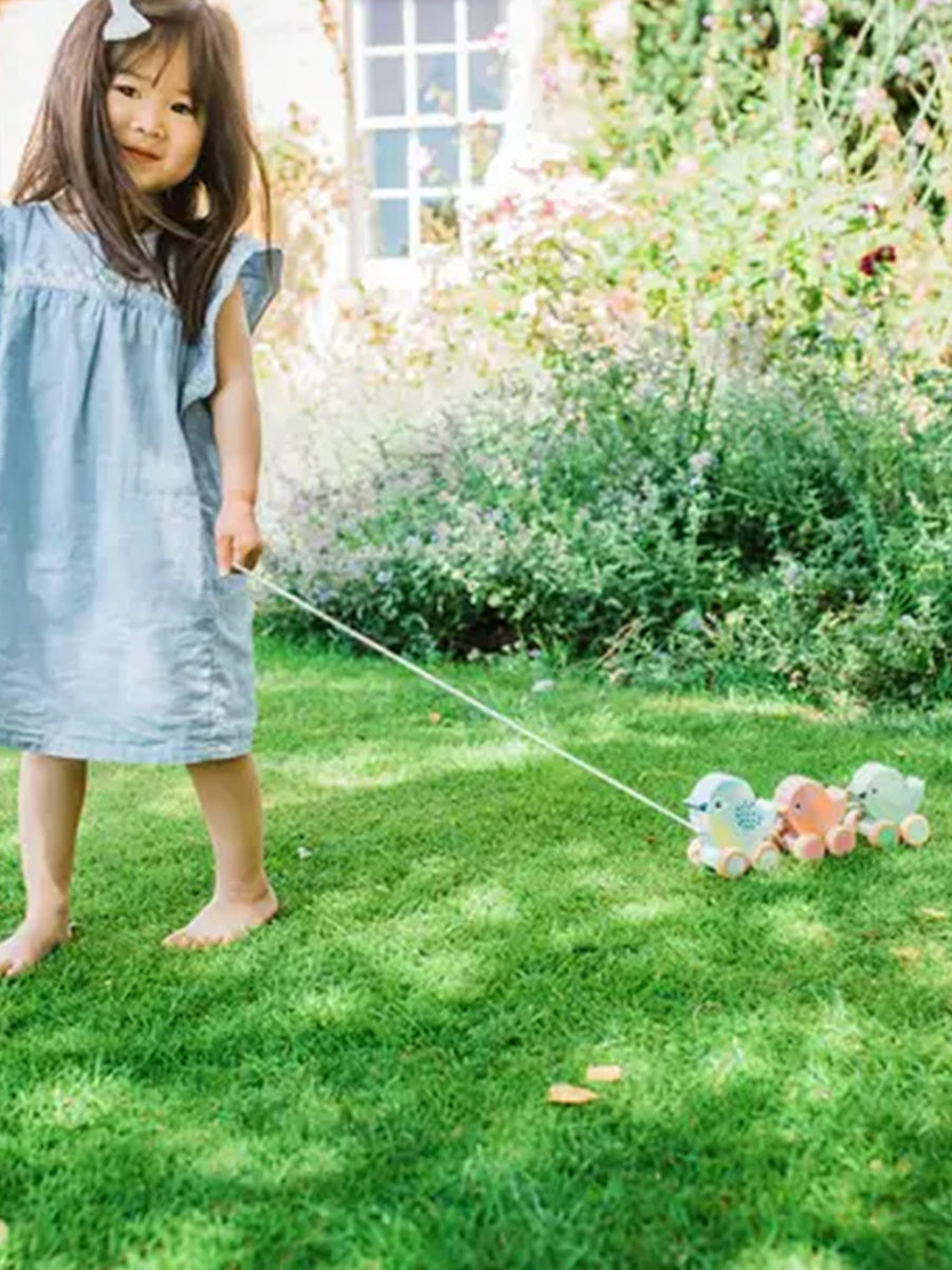 Pull Along Birdies Kids : Toys : Push + Pull Orange Tree Toys Pull Along Birdies for Babies and Kids | Colored Organics®