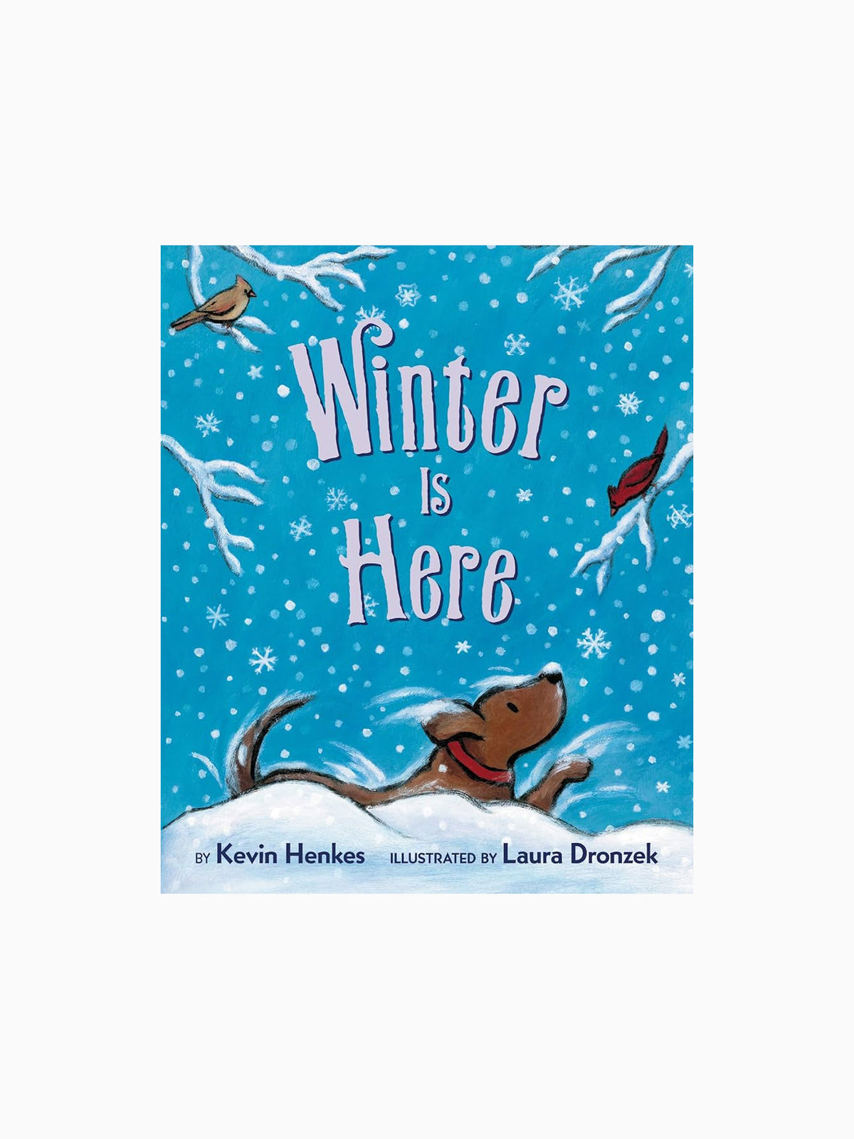 Winter Is Here Board Book