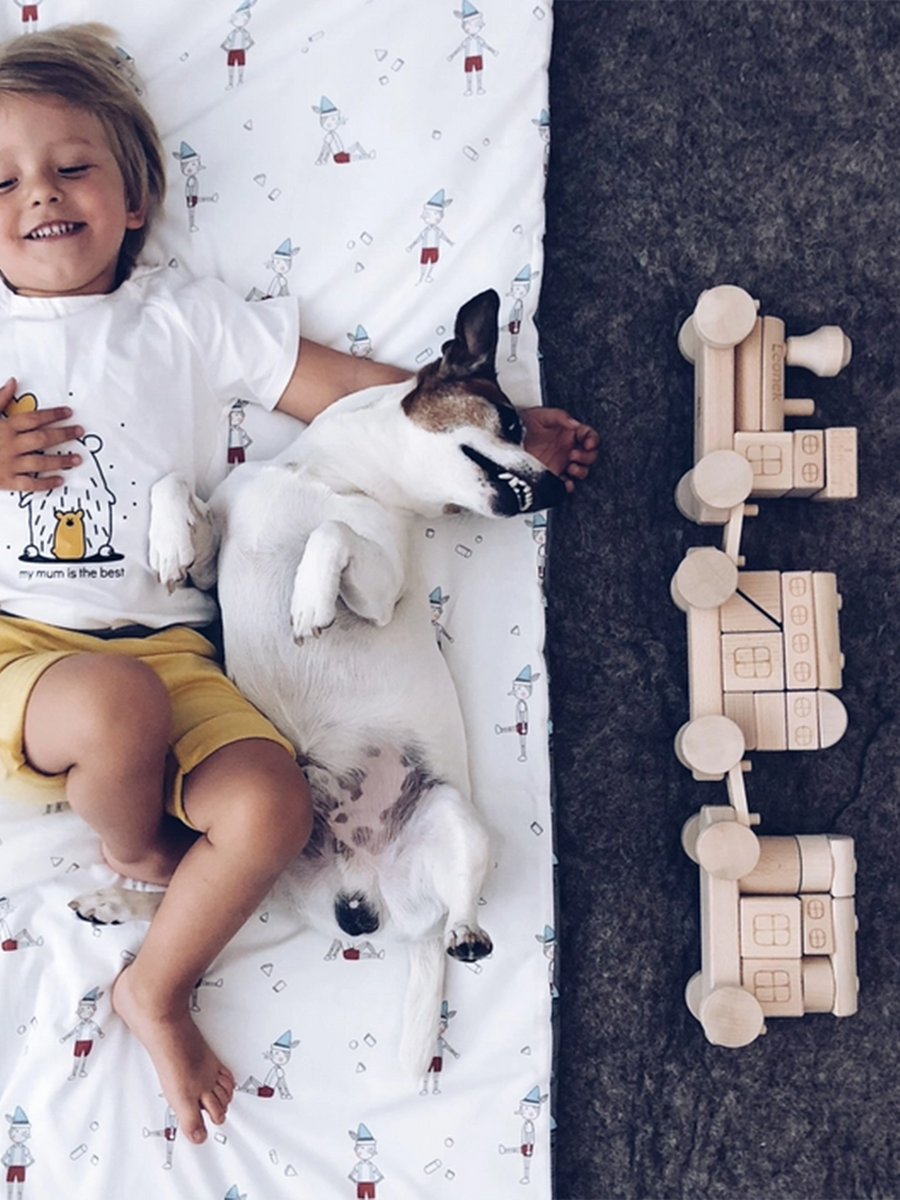 Wooden Stacking Train Baby-Kids : Toys : Push + Pull tarnawa toys Wooden Stacking Train for Baby | Colored Organics®