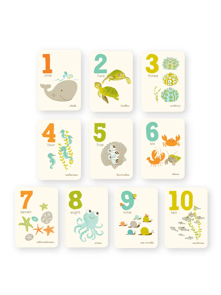 Counting Card Set Kids : Toys : Activities Sea Urchin Studio Counting Card Set for Babies and Kids | Colored Organics®