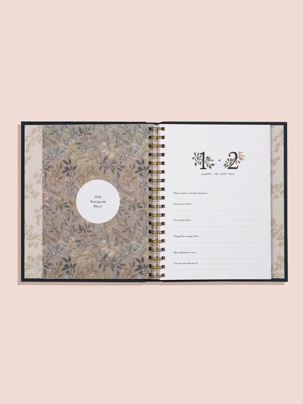 Growing You, Pregnancy Journal Nursery : Memory Books Paige Tate & Co. Growing You, A Modern Pregnancy Journal | Colored Organics®