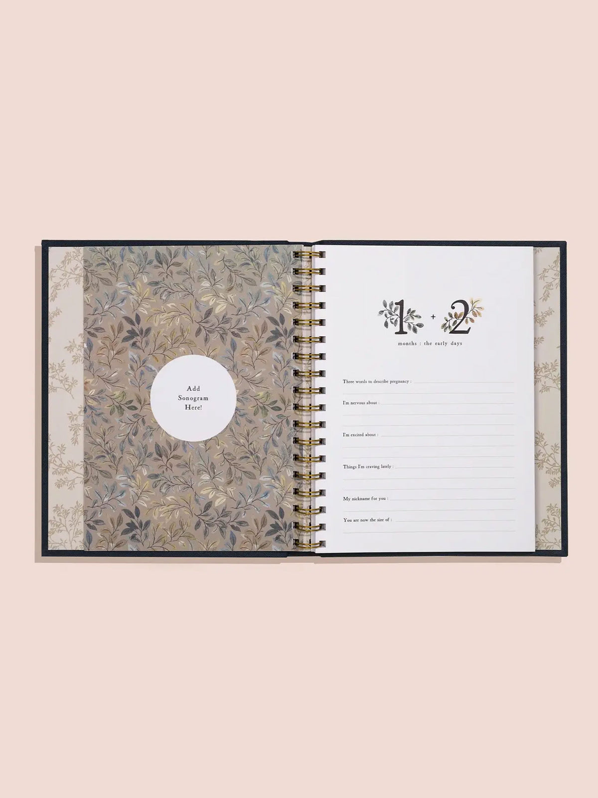 Growing You, Pregnancy Journal Nursery : Memory Books Paige Tate & Co. Growing You, A Modern Pregnancy Journal | Colored Organics®