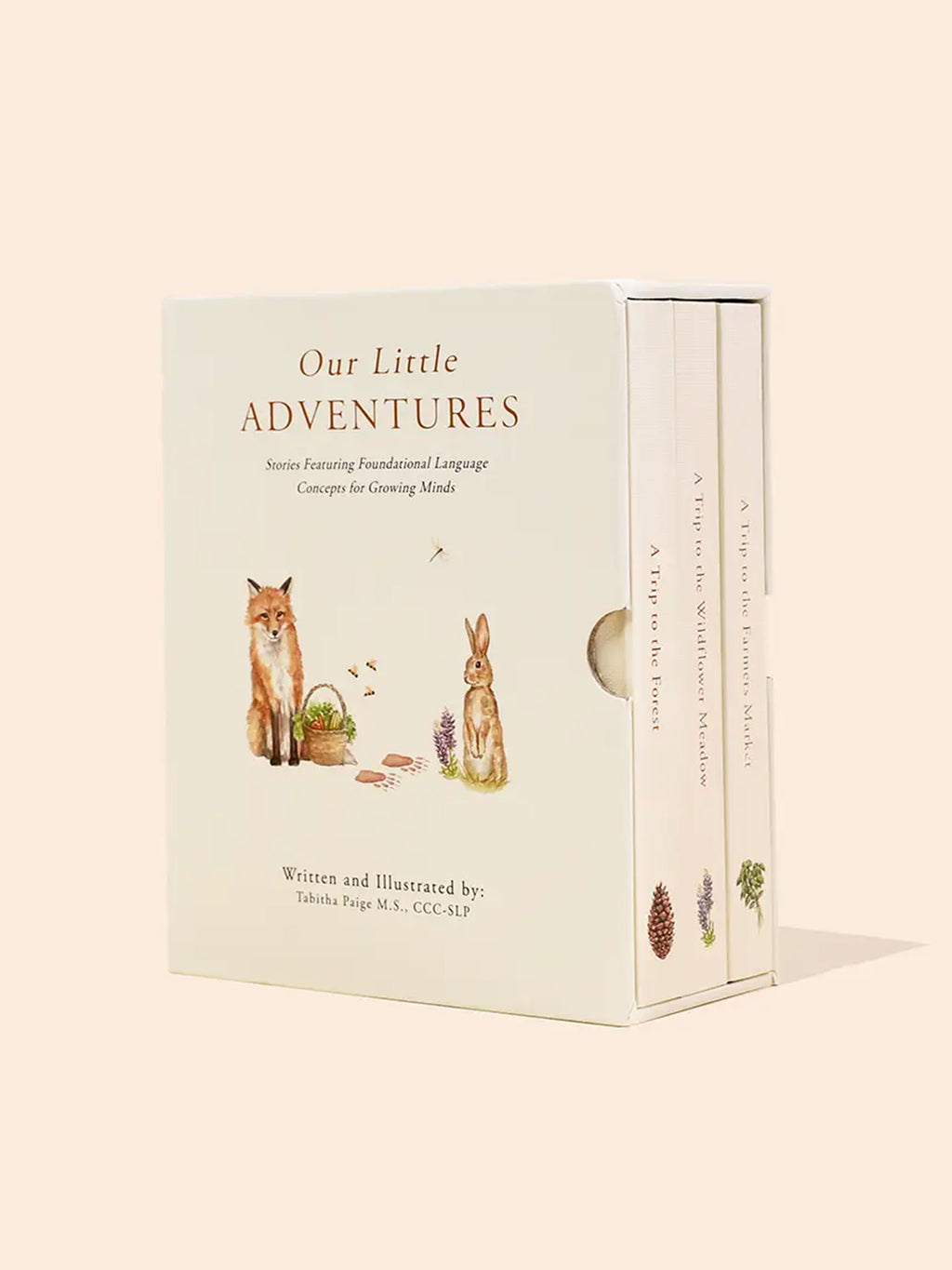 Our Little Adventures Book Box Set Baby-Kids : Toys : Books Paige Tate & Co. Baby Our Little Adventures Book Box Set | Colored Organics®